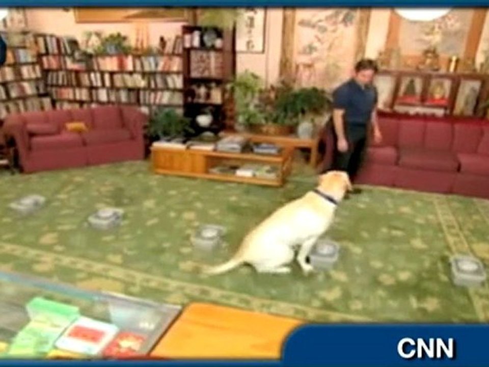 Dog Bites Off Owner's Toe, Saves His Life