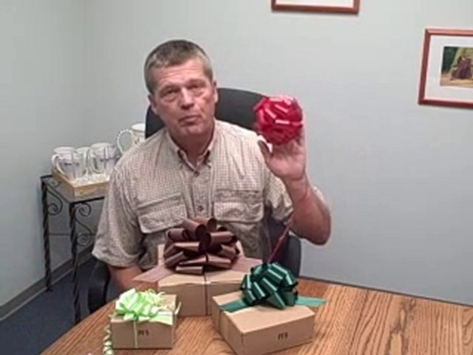 Perfect Bow  for Retail Stores