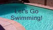 Pool Cleaning Las Vegas 702-396-6465 Service in NV