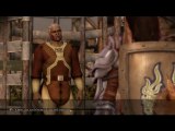 Dragon Age : Origins Walkthrough 18 Sten des Berresades