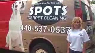 Spots Carpet Cleaning Ohio 44092 44094 44060 44077