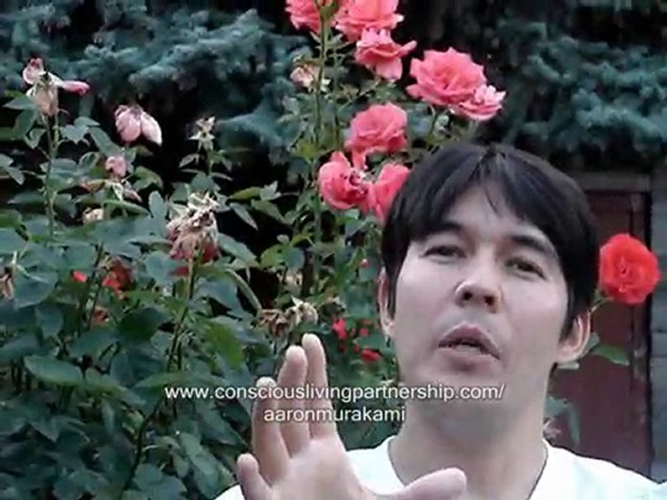 Conscious Living Partnership | Dare to Live Challenge Part 2