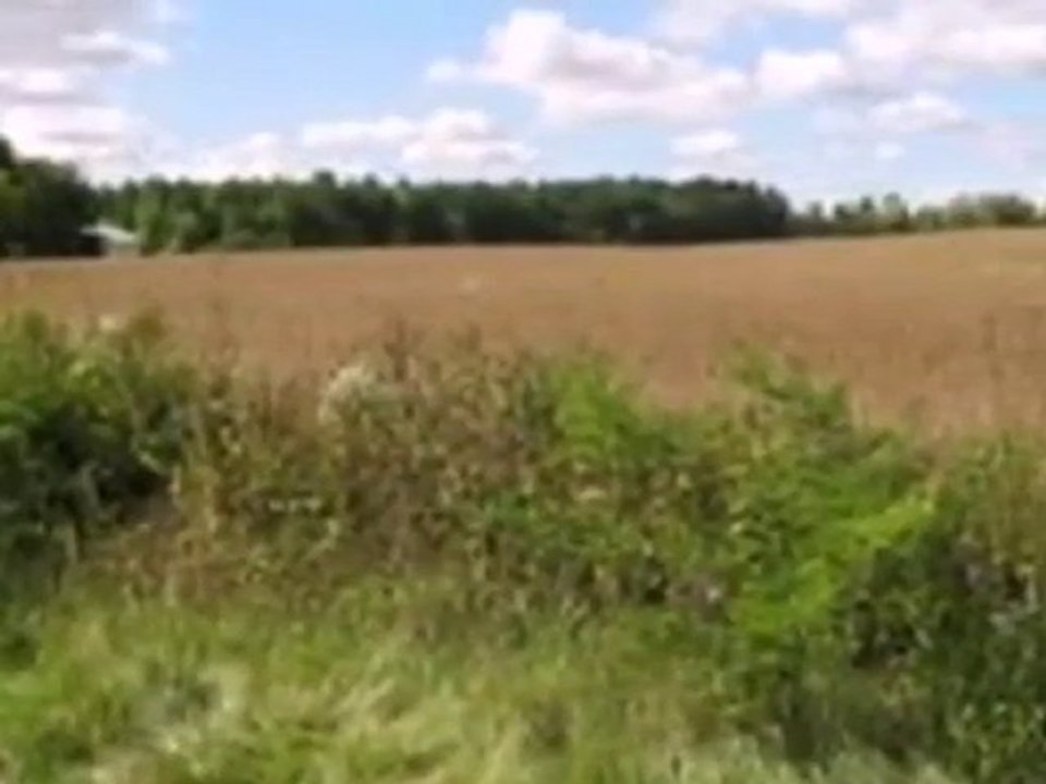 Homes for Sale - 3306 Newman Rd - Racine, WI 53406 - Coldwel