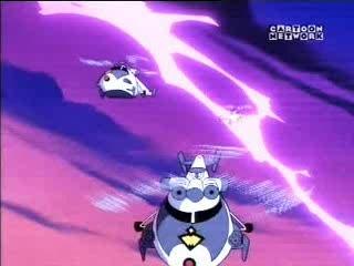 Swat cats felina feral catgirl