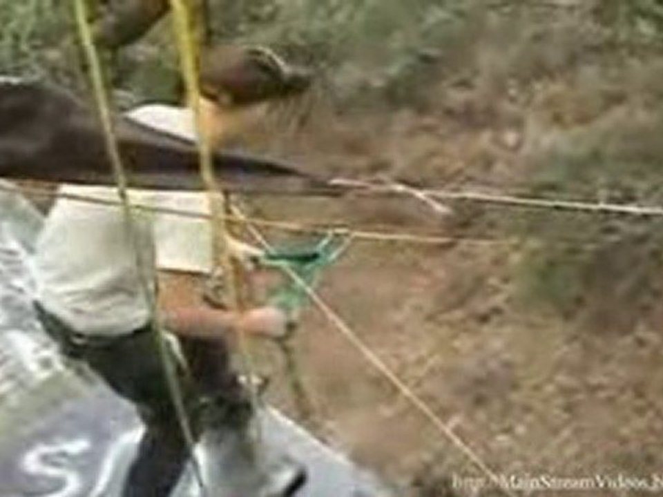 Zipline Fail Faceplant