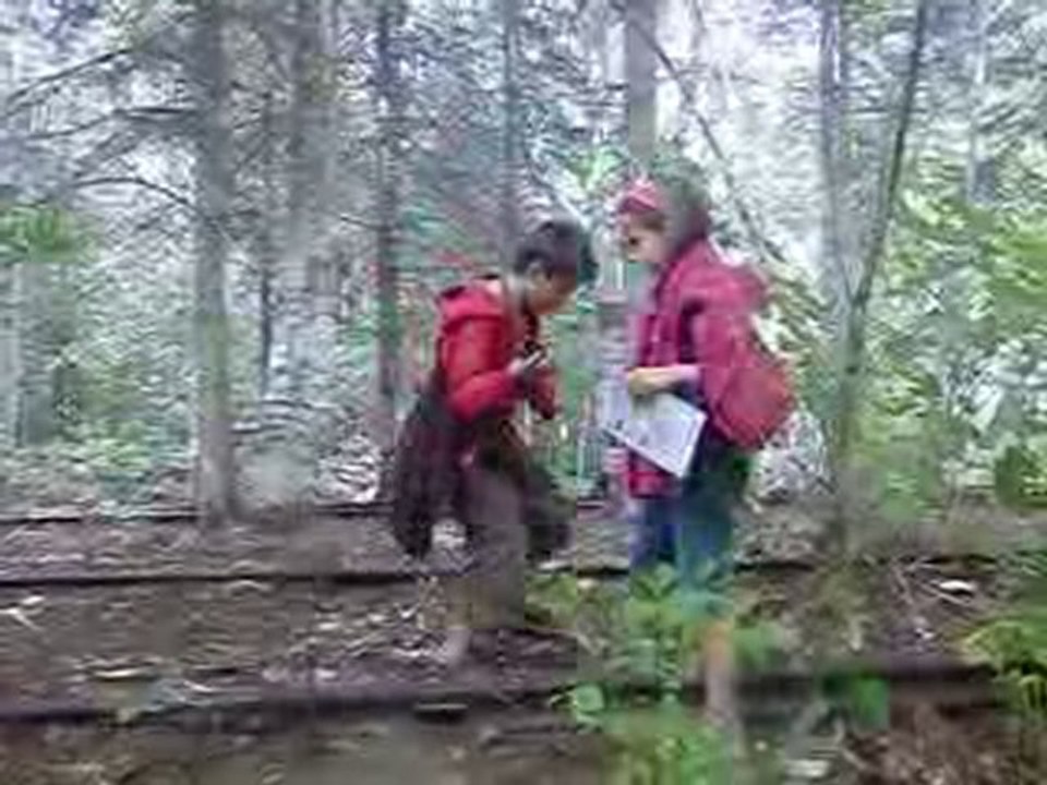 Chasse au trésor