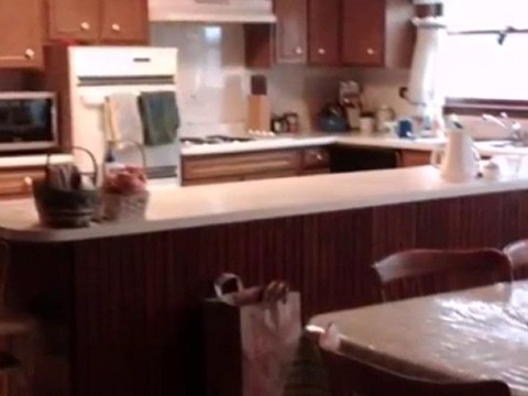 Homes for Sale - 12 Fairview Ct - Clarendon Hills, IL 60514