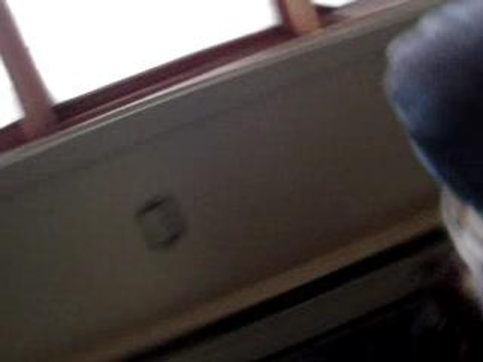 bruit de singe!