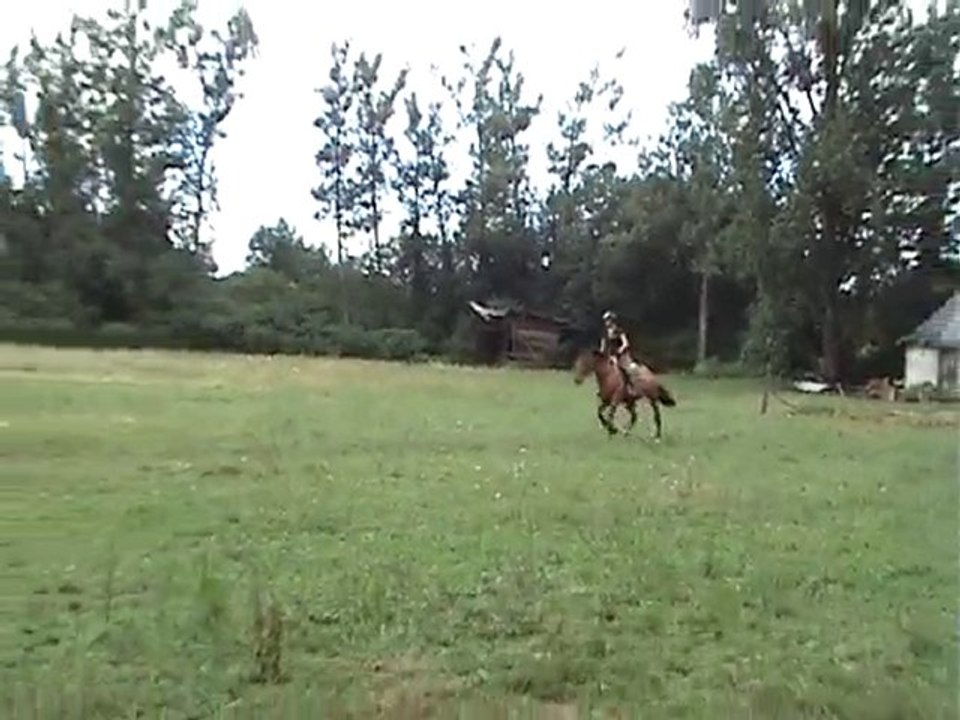 bazet Miranda des bois 1