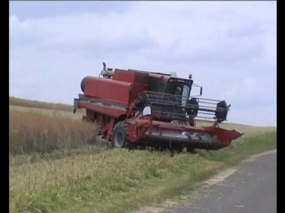 moisson dans la beauce