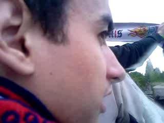 Parc A. n°2 menhir expres