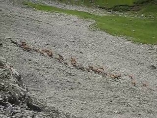 2010 08 06 Combe des Aravis - Plateau des Fours