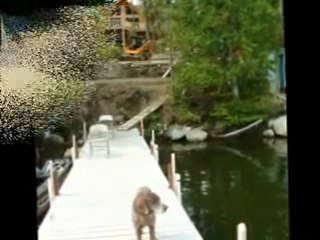 Ahşapeviniz, Usta Ahşap Evler