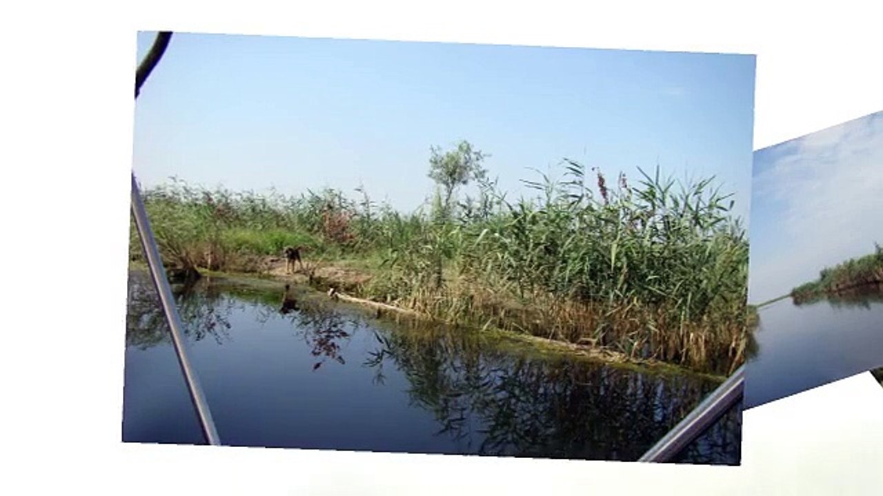 Minunile Deltei 3