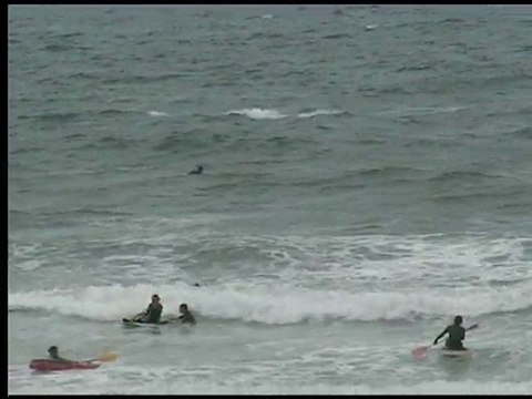 Entraînement du 04 août 2010