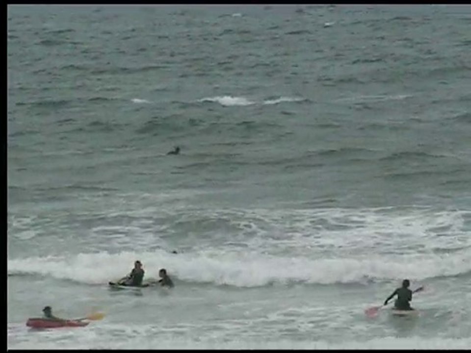 Entraînement du 04 août 2010