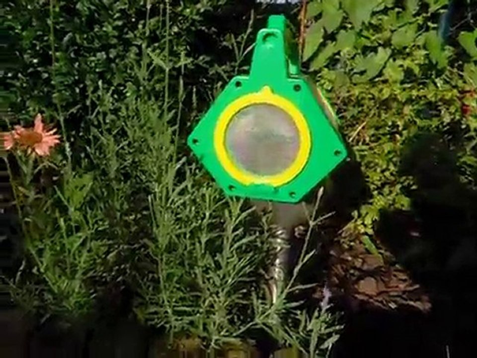 Maja und Robbi´s Raupe ...........