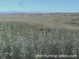 Deer Bowhunting Alberta - Deer Hunting 64 Yard Heart Shot
