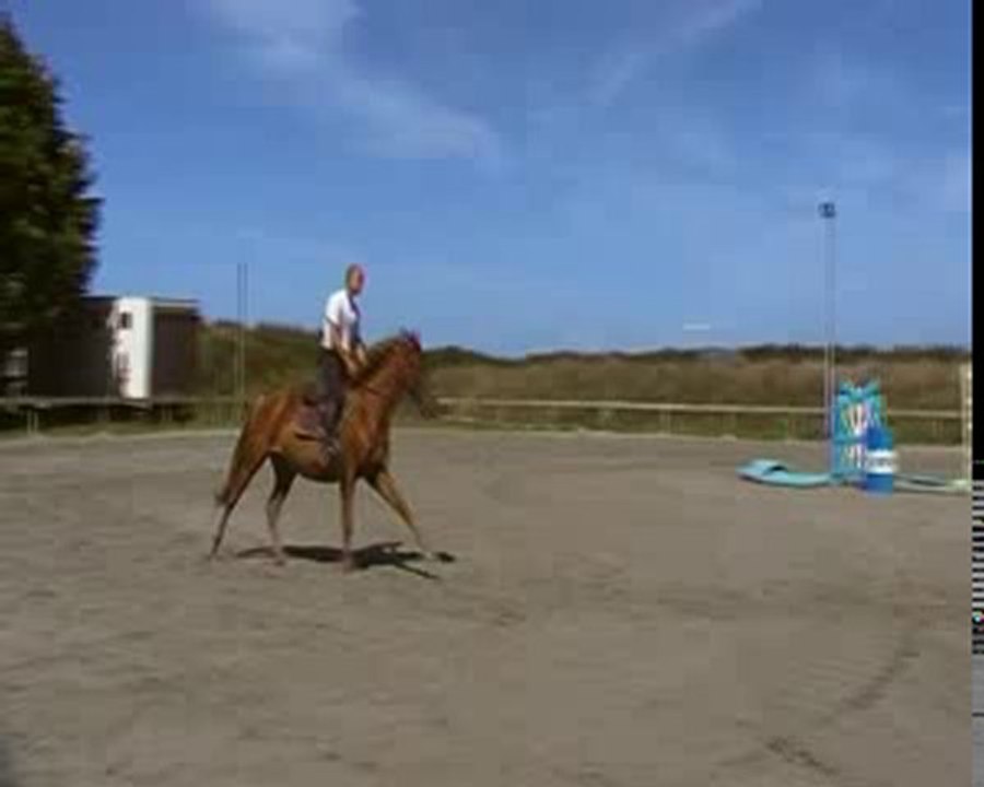 SUCCES MOUCHE
