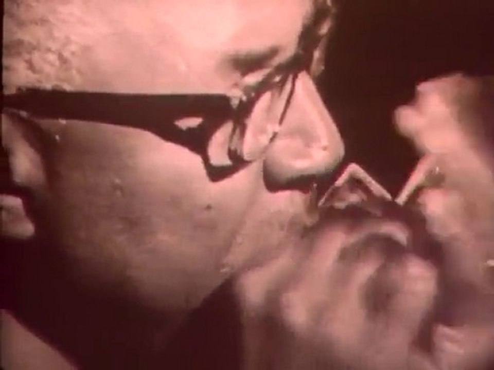 Sonny Terry - Hootin'  the Blues