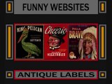 100% Funny websites - De coolste funny websites van internet