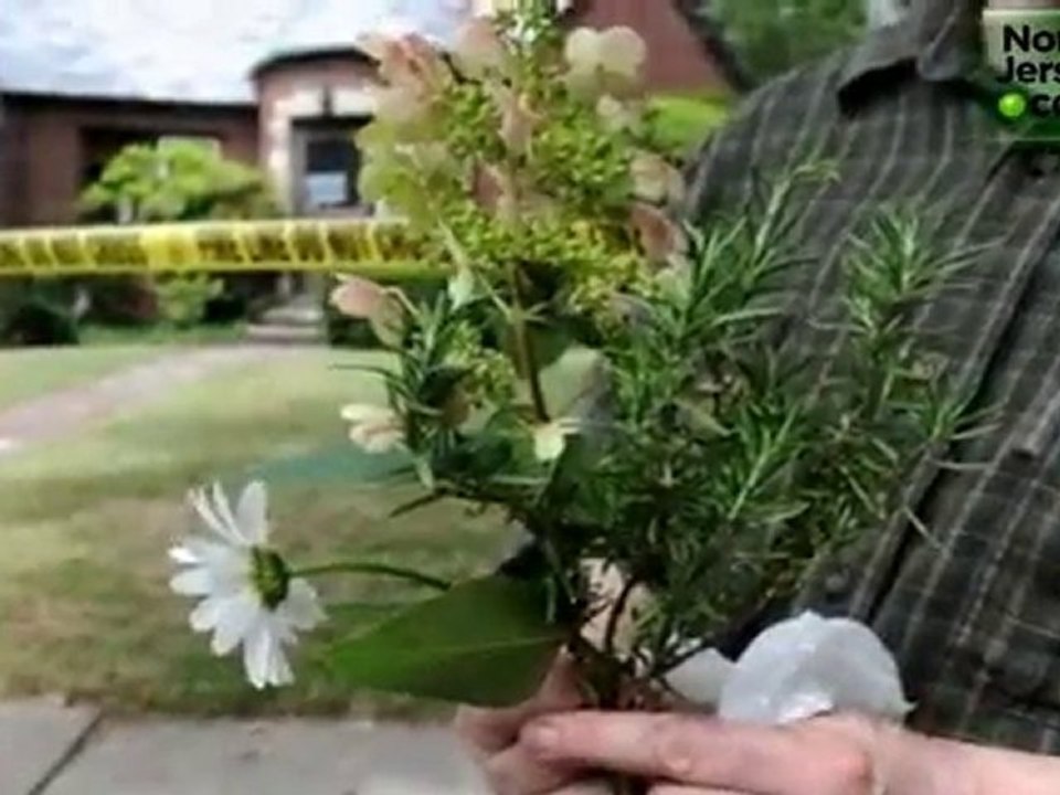 Teaneck Activist Joan Davis Murdered