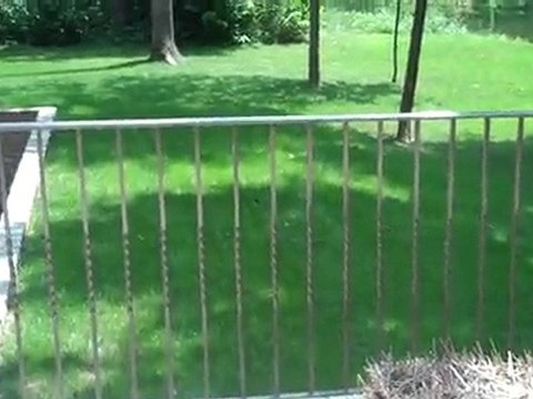 5603 Peaking Fox Dr. -$390,000 - Michael Mergell