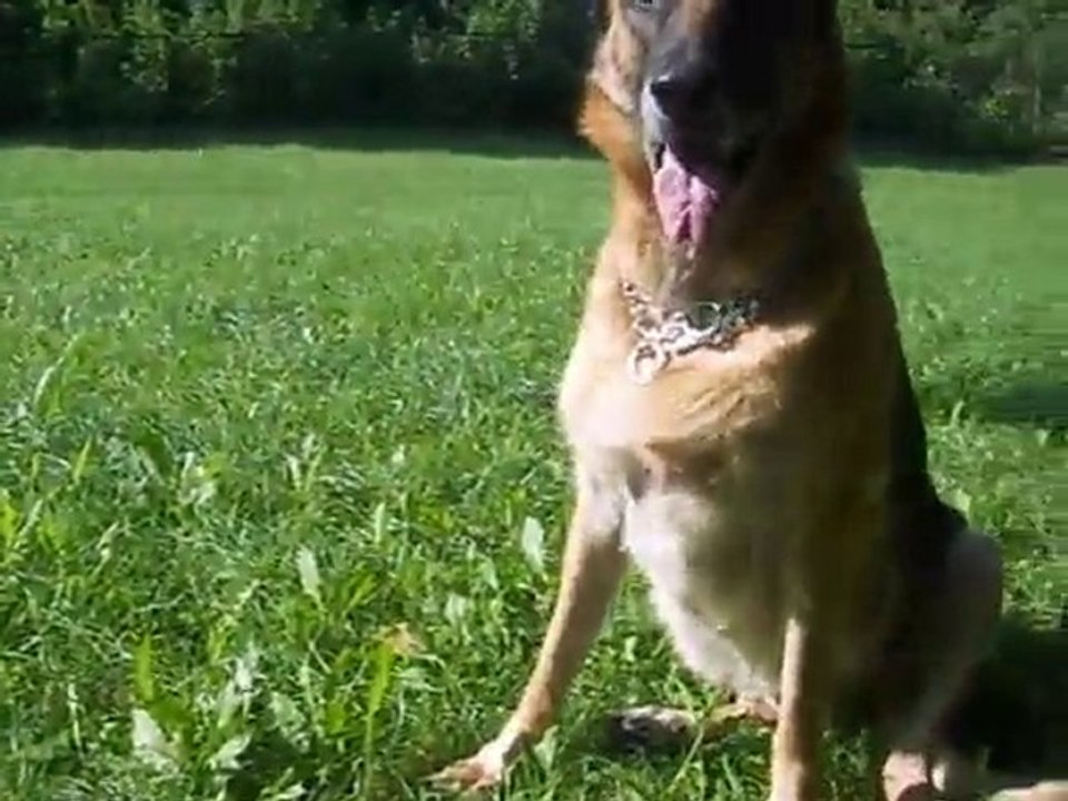 ANKA PATRZY ZA PATYKIEM 2