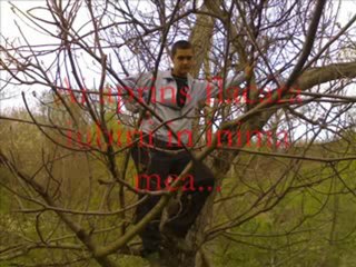 YouTube- iubirea nu are pret