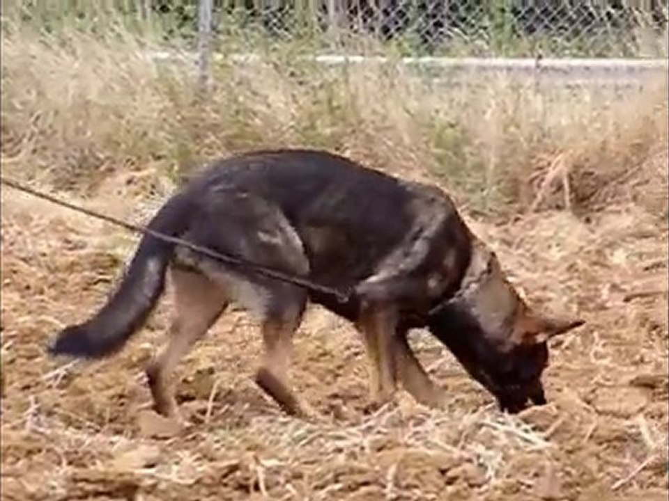 julca anrebri :piste 16082010