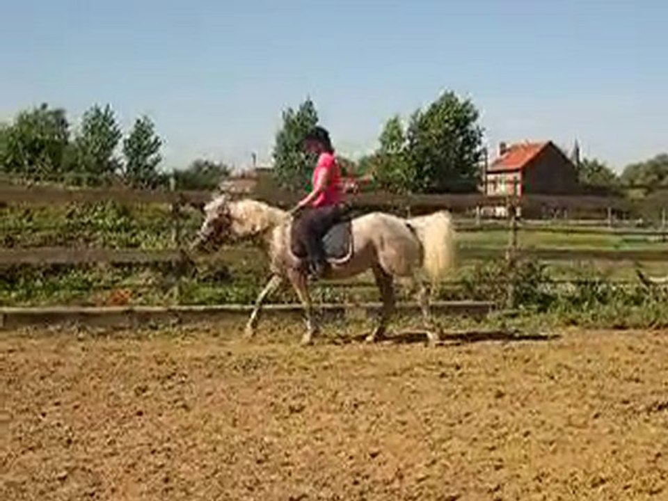 Lakhal'inn, ses premiers pas seule avec une cavalière