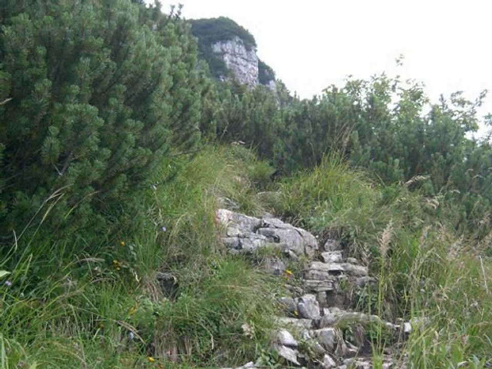 Wanderung Schlenken-Schmittenstein 8.8.2010