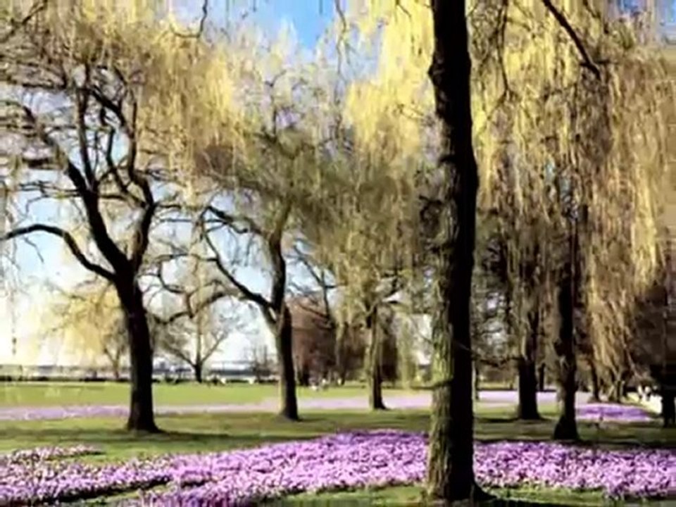 I have made earthquake in Düsseldorf. Can you feel it?? :))