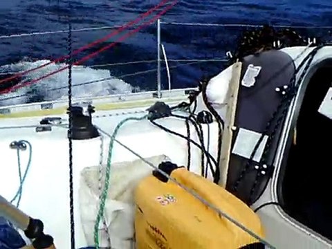 mini 650 n°402 qualif 4