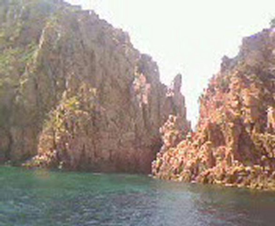 Corse 1