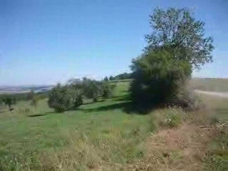rallye de la plaine 2010