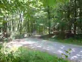 rallye de la plaine 2010