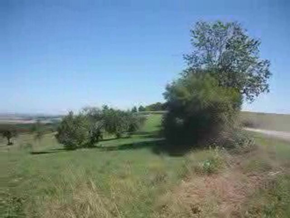 rallye de la plaine 2010