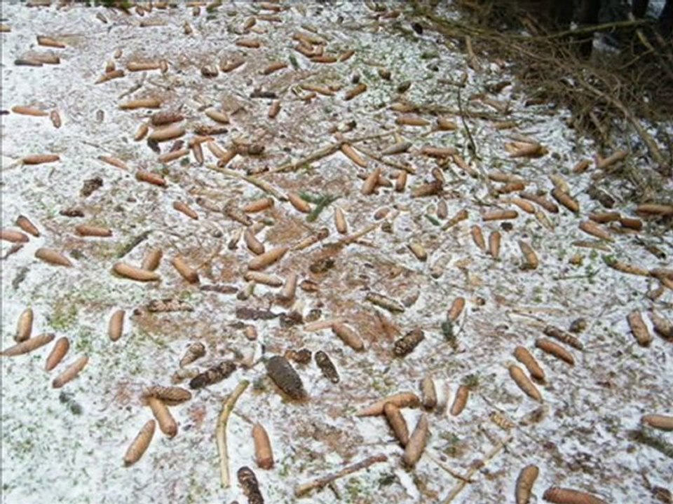 Langogne sous l'hiver