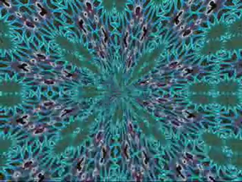 °TS