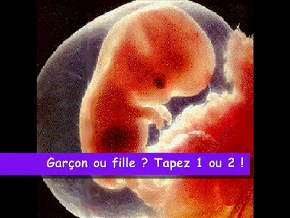 HAUT EN COULEUR - 08/08/10