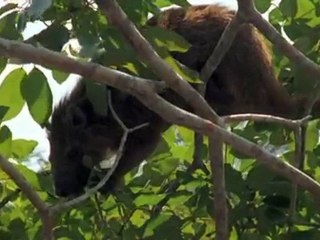 Cuba, perle des Caraïbes part 1