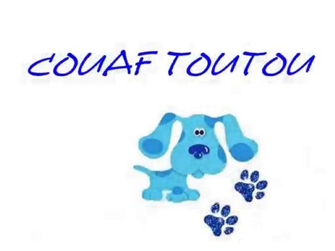 COUAF TOUTOU VIGNEUX SUR SEINE TOILETTAGE TOILETTEUR VIGNEUX