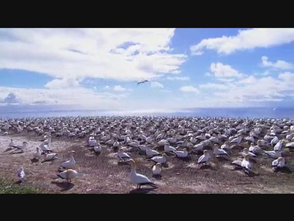 jingle slc (movie maker)