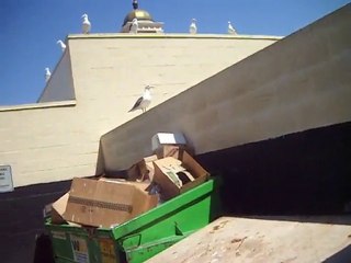 i have no idea what this is