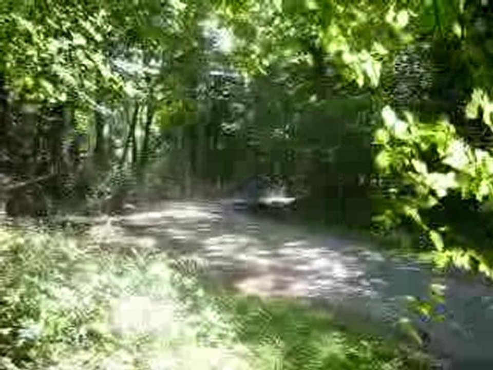 rallye de la plaine 2010