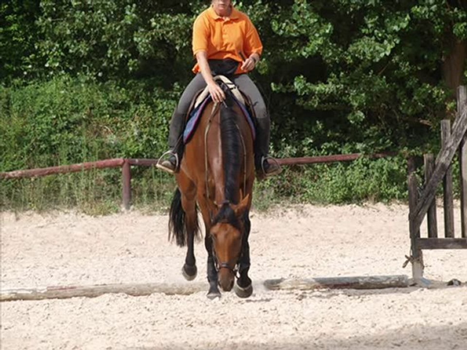 2010.08.08 diaporama Tempête et Câline
