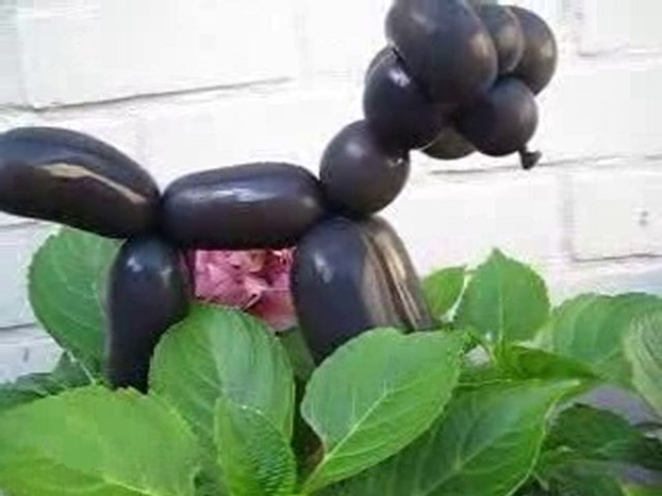 Retour en enfance...