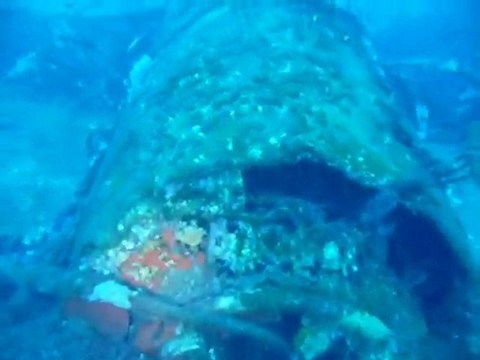 Plongee p47 Punta d'Arco Corse