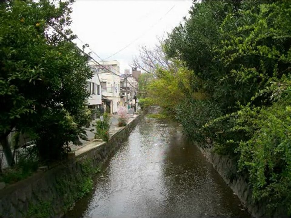 voyage au Japon partie Kyoto